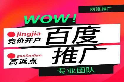 百度推广全攻略：成功案例剖析